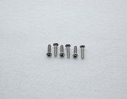 Stainless Steel Countersunk Oval Head Pickup Screws